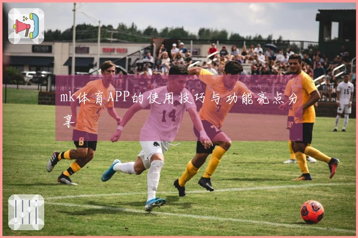 mk体育APP的使用技巧与功能亮点分享