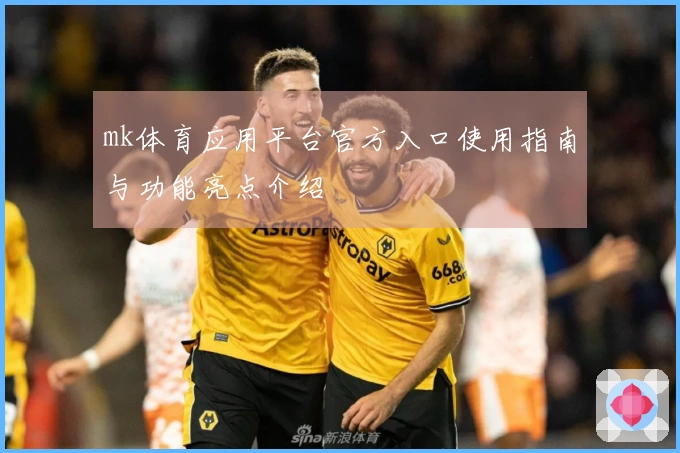 mk体育应用平台官方入口使用指南与功能亮点介绍