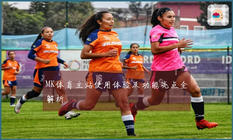 MK体育主站使用体验及功能亮点全解析